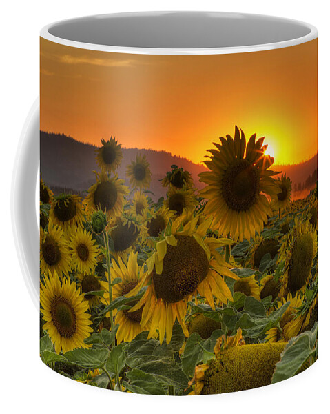 Sunflower Coffee Mug featuring the photograph Sunflower Sun Rays by Mark Kiver
