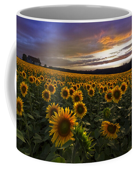 Austria Coffee Mug featuring the photograph Sunflower Sunset by Debra and Dave Vanderlaan