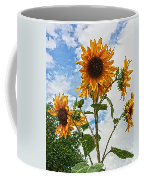 Sunflowers Coffee Mug featuring the photograph Sunflowers and Blue by Amanda Smith
