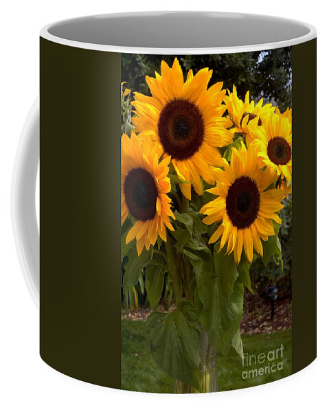 Nature Coffee Mug featuring the photograph Sunflowers by Arlene Carmel