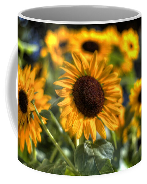 Sunflowers Coffee Mug featuring the photograph Sunflowers by Jonny D