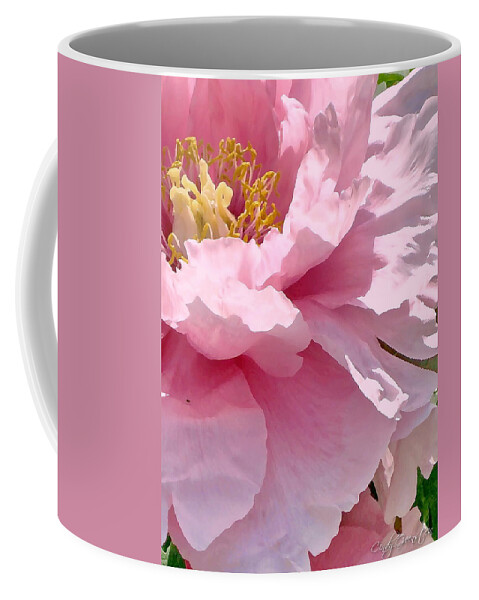 Pink Coffee Mug featuring the photograph Sunkissed Peonies 1 by Cindy Greenstein