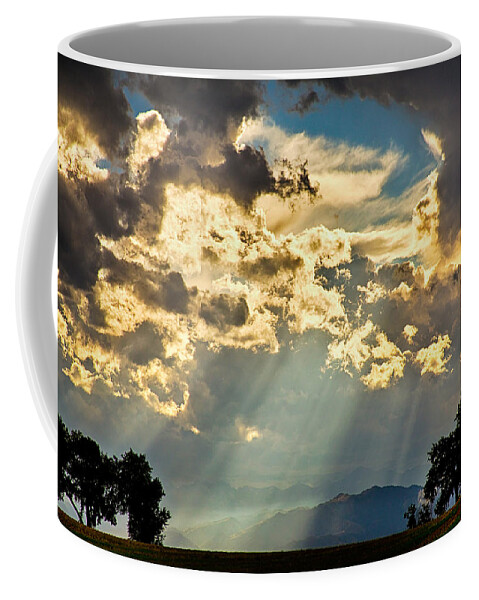 Forest Coffee Mug featuring the photograph Sunlight Raining Down From the Heavens by James BO Insogna