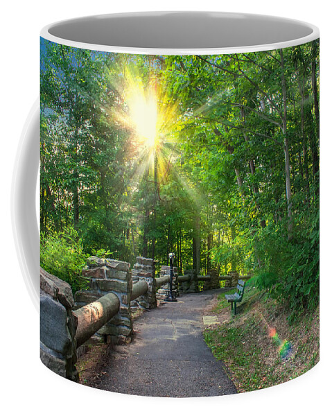 Sunlit Coffee Mug featuring the photograph Sunlit Path by Mary Almond