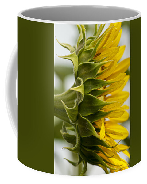 Bloom Coffee Mug featuring the photograph Sunny Side by Christi Kraft