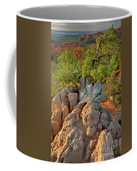 North America Coffee Mug featuring the photograph Sunrise At Bryce Canyon National Park Utah by Dave Welling