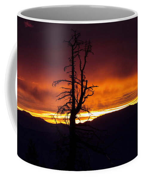 Yellow Coffee Mug featuring the photograph Sunrise at Lone Tree by Randy Wehner