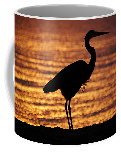 Sunrise Coffee Mug featuring the photograph Sunrise Heron by Leticia Latocki