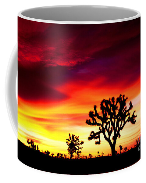 Landscape Coffee Mug featuring the photograph Sunrise in Joshua Tree Nat'l Park by Benedict Heekwan Yang