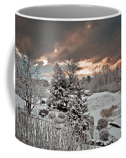 Landscape Coffee Mug featuring the photograph Sunrise over Pond by Gwen Gibson