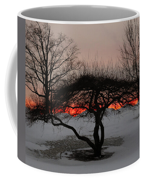 Tree Coffee Mug featuring the photograph Sunroof by Luke Moore
