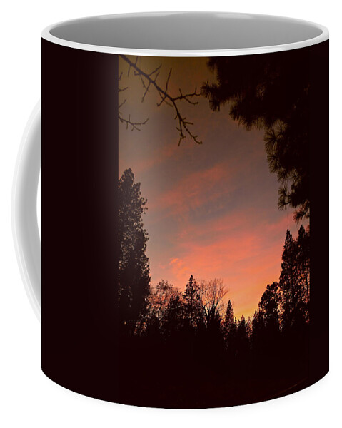 Sunset Coffee Mug featuring the photograph Sunset In Winter by Michele Myers