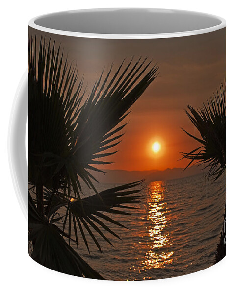 Background Coffee Mug featuring the photograph Sunset by Jelena Jovanovic