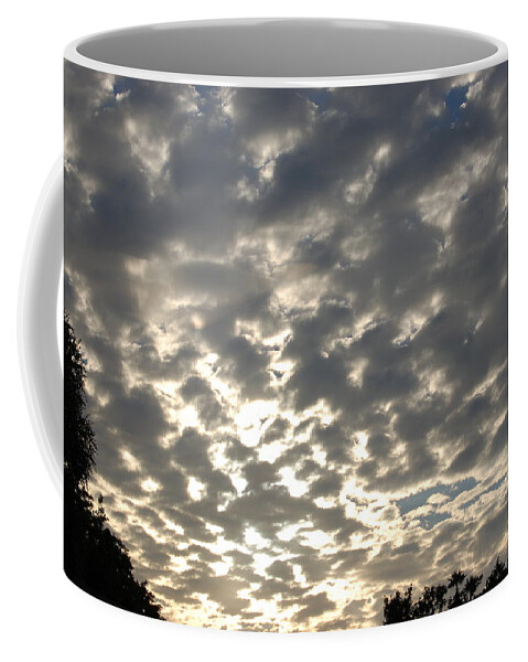 Linda Brody Coffee Mug featuring the photograph Sunset Landscape XIII by Linda Brody
