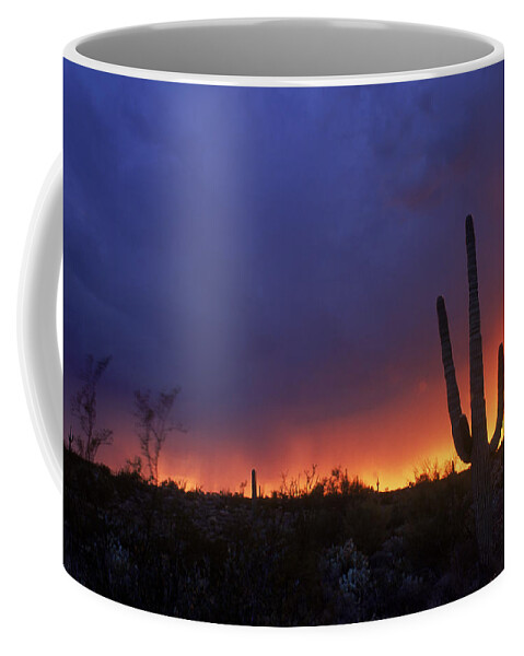 Arizona Coffee Mug featuring the photograph Sunset Over Sonoran Desert by Adam Sylvester
