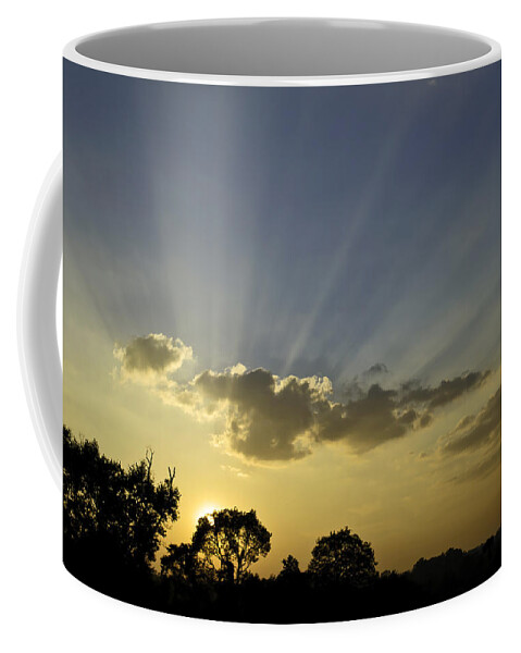 Sunset Coffee Mug featuring the photograph Sunset sunrays by David Freuthal