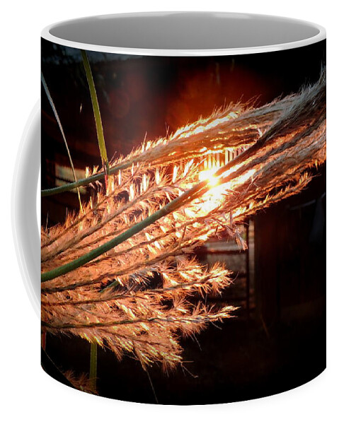 Sunset Coffee Mug featuring the photograph Sunset through the Pampas Grass by Rabiah Seminole