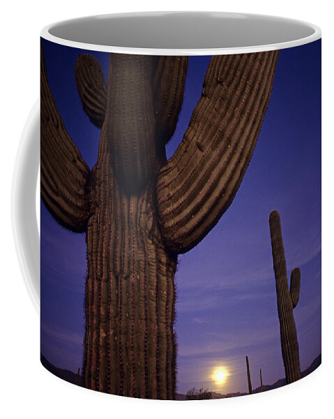 American Southwest Coffee Mug featuring the photograph Sunset with moonise behind Saguaro Cactus in desert Southwest Ar by Jim Corwin