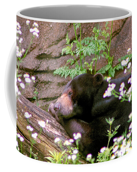 Wildlife Coffee Mug featuring the photograph Sunshine Bear by Adam Olsen