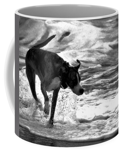 Black And White Coffee Mug featuring the photograph Surfer Bird by Robert McCubbin