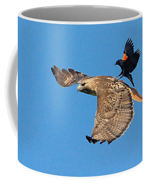 Surfer Coffee Mug featuring the photograph Surfer Bird by William Jobes