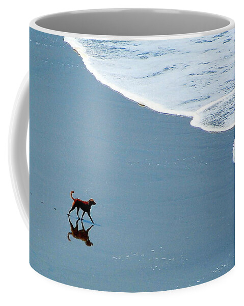 Scenic Coffee Mug featuring the photograph Surfer Dog by AJ Schibig