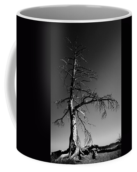 Survival Tree Coffee Mug featuring the photograph Survival Tree by Chad Dutson