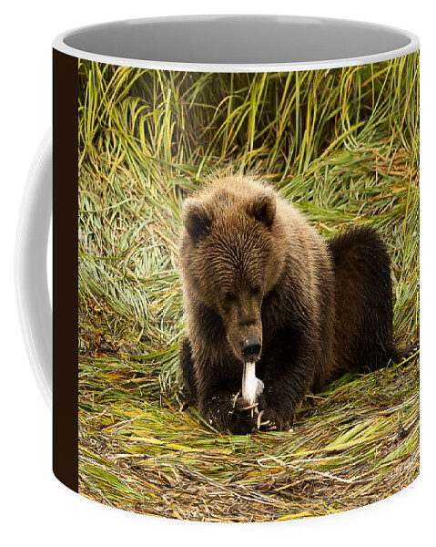 Nature Coffee Mug featuring the photograph Sushi by Steven Reed