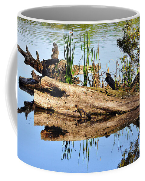 Alligator Coffee Mug featuring the photograph Swamp Scene by Al Powell Photography USA