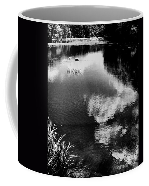 Seascapes Coffee Mug featuring the photograph Swan Lake by Robert McCubbin