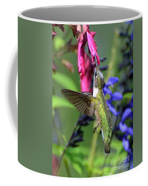 Birds Coffee Mug featuring the photograph Sweet Hummer by Kathy Baccari