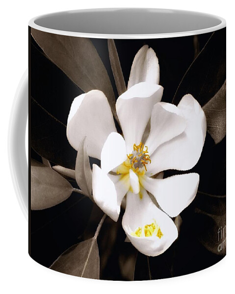 Sweet Coffee Mug featuring the photograph Sweet Magnolia by Sharon Woerner