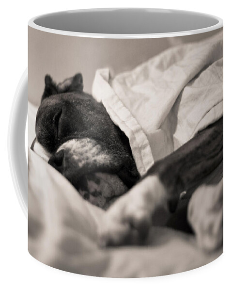 Boxer Coffee Mug featuring the photograph Sweet Sleeping Boxer by Stephanie McDowell