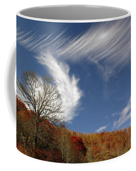 Landscape Coffee Mug featuring the photograph Sweet Spot by Jennifer Robin