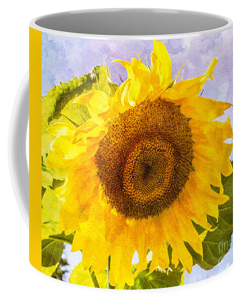 Sunflower Coffee Mug featuring the photograph Sweet Sunflower by Arlene Carmel