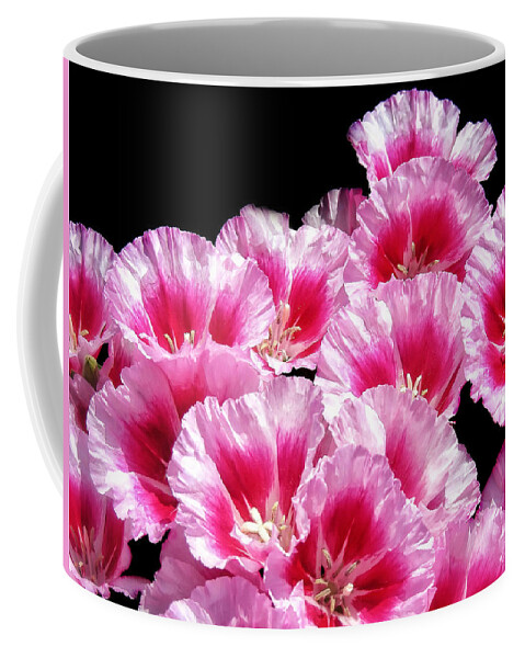 Pink Red Coffee Mug featuring the photograph Sweet William Bouquet by Mary Lane