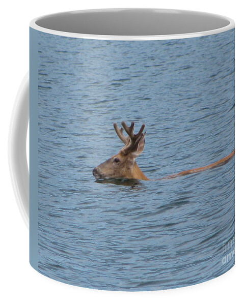 Deer Coffee Mug featuring the photograph Swimming Deer by Leone Lund