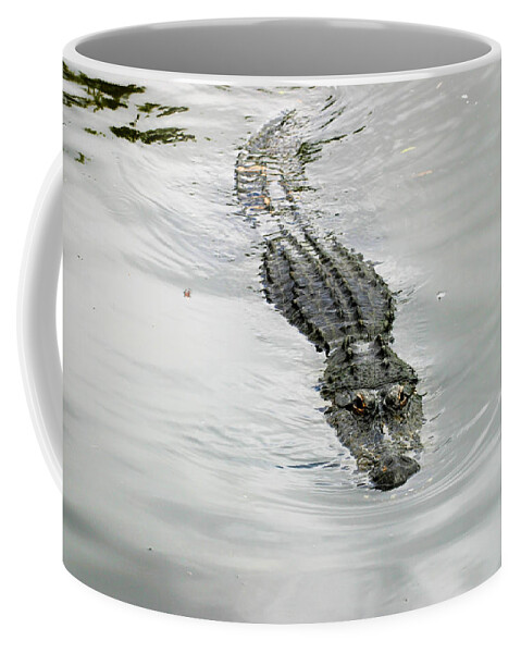 Florida Coffee Mug featuring the photograph Swimming Gator by Anthony Jones