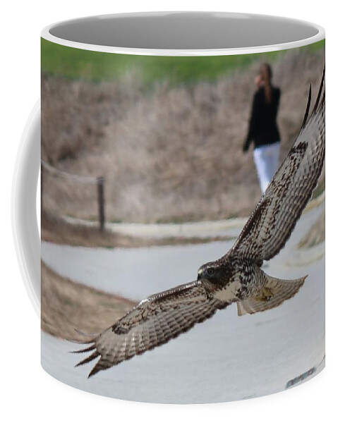 Hawk Coffee Mug featuring the photograph Swoop by Christy Pooschke