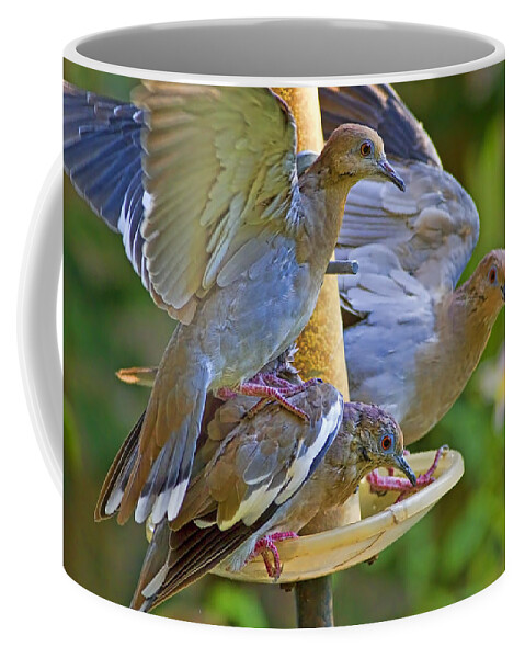 White Coffee Mug featuring the photograph Symbols of Peace and Tolerance by Gary Holmes