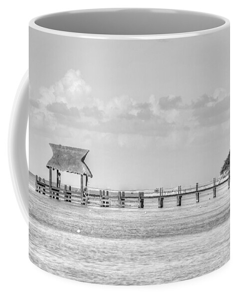 Pier Coffee Mug featuring the photograph Take a Long Walk Off a Short Pier by Bill Hamilton