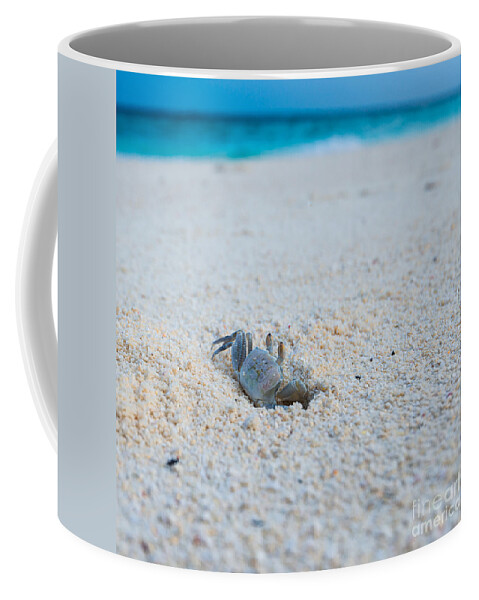 1x1 Coffee Mug featuring the photograph Take A Look by Hannes Cmarits