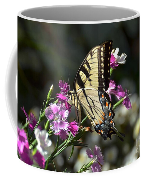 Butterfly Coffee Mug featuring the photograph Take Time to Smell the Flowers by Carol Bradley