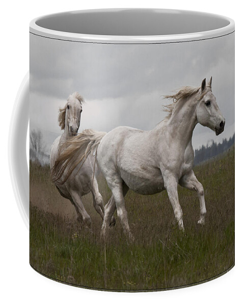 Talegating Coffee Mug featuring the photograph Talegating by Wes and Dotty Weber