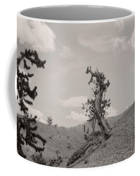 Utah Coffee Mug featuring the photograph Talking Trees in Bryce Canyon by Carol Whaley Addassi