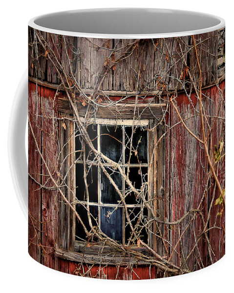Barn Coffee Mug featuring the photograph Tangled Up In Time by Lois Bryan