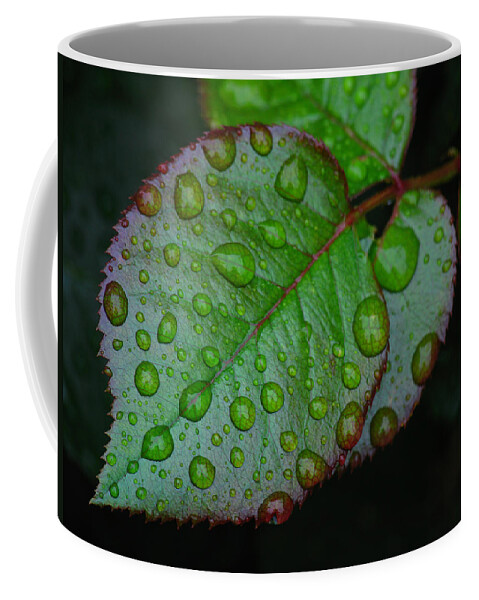 Leaf Coffee Mug featuring the photograph Teary Rose Leaf by Juergen Roth