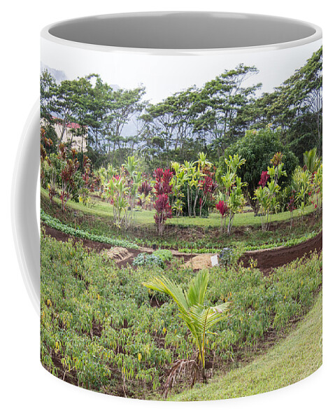 Kilohana Plantation Coffee Mug featuring the photograph Tending The Land by Suzanne Luft