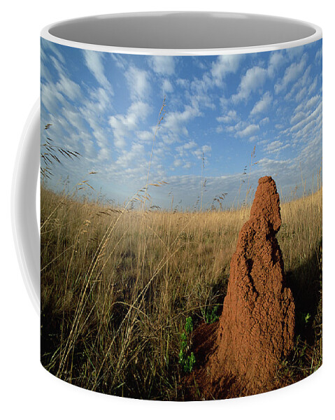Feb0514 Coffee Mug featuring the photograph Termite Mound In Cerrado Grassland Emas by Tui De Roy