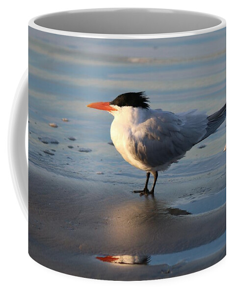 Tern Coffee Mug featuring the photograph Tern on the Beach by Christy Pooschke